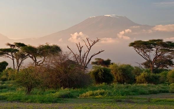 Climb Kilimanjaro: Summiting the Machame Route