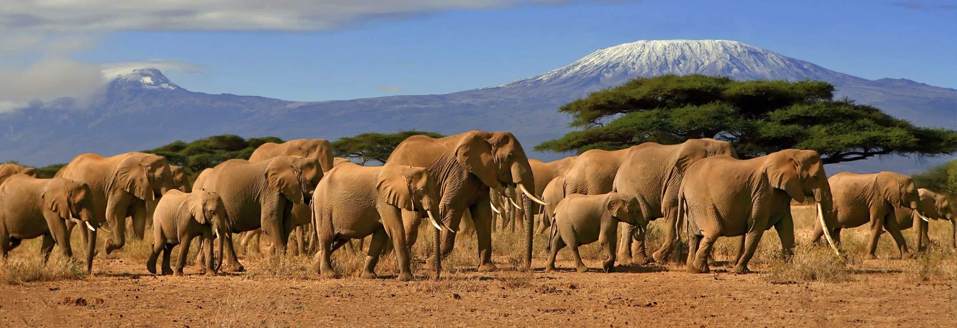 Kenya u0026 Tanzania Wildlife Safari | Abercrombie u0026 Kent