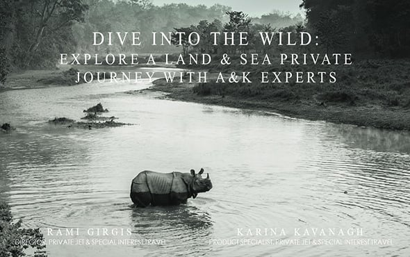 Dive Into the Wild: Explore a Land & Sea Private Jet Journey with A&K Experts